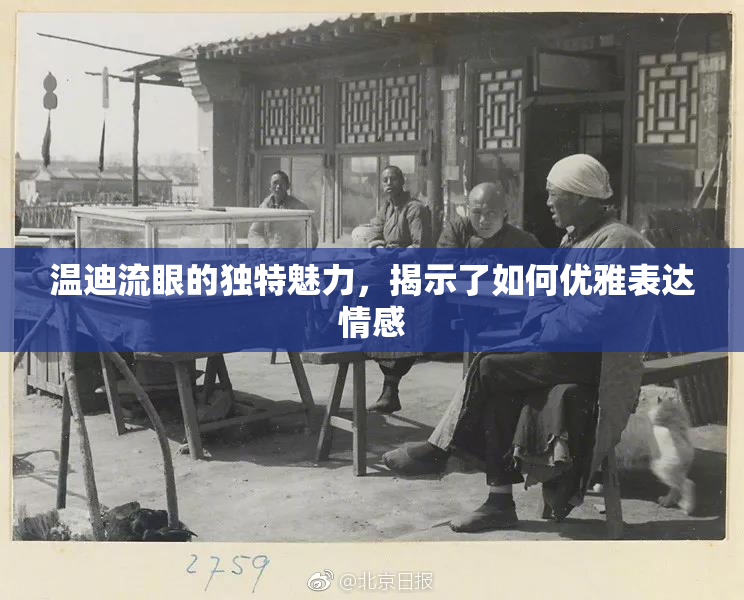 温迪流眼的独特魅力，揭示了如何优雅表达情感