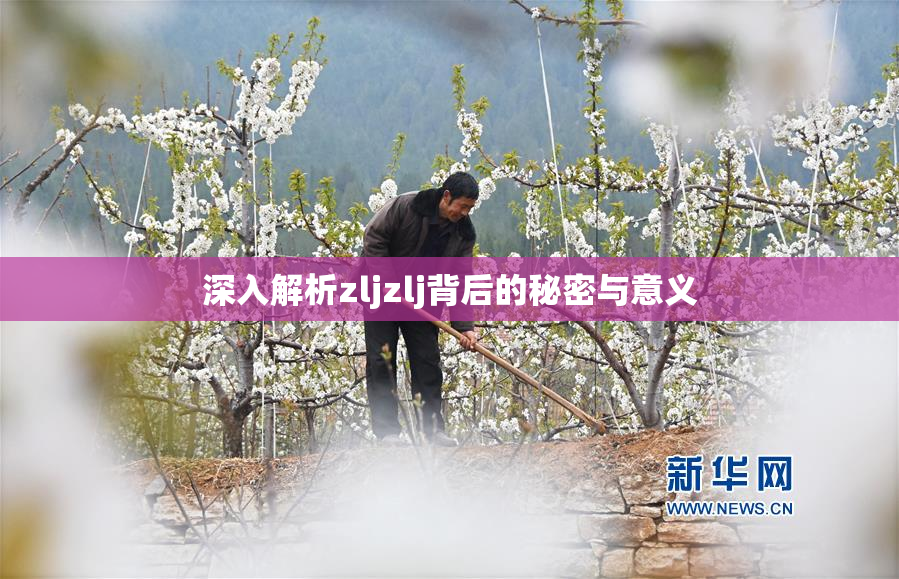 深入解析zljzlj背后的秘密与意义