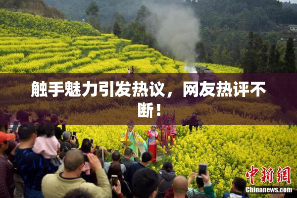 触手魅力引发热议，网友热评不断！