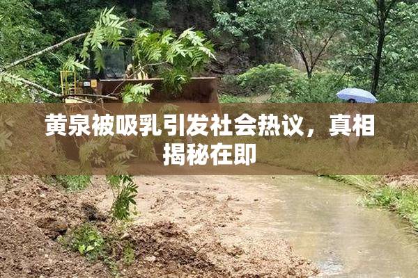 黄泉被吸乳引发社会热议，真相揭秘在即