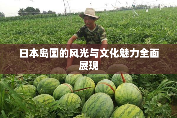 日本岛国的风光与文化魅力全面展现
