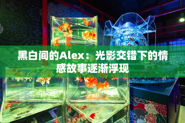 黑白间的Alex：光影交错下的情感故事逐渐浮现