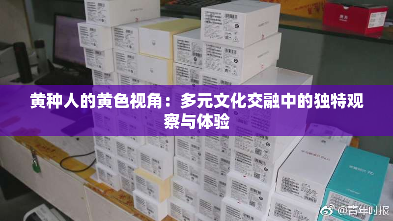 黄种人的黄色视角：多元文化交融中的独特观察与体验