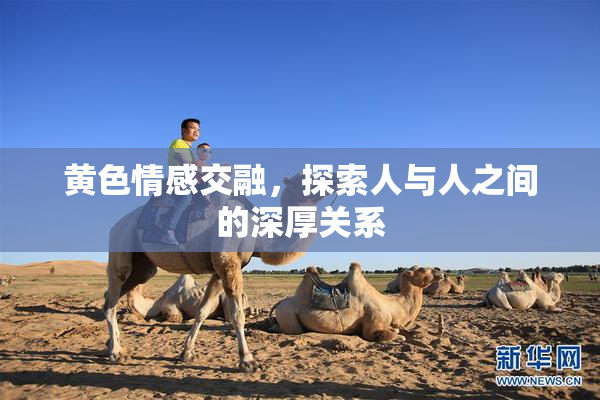黄色情感交融，探索人与人之间的深厚关系