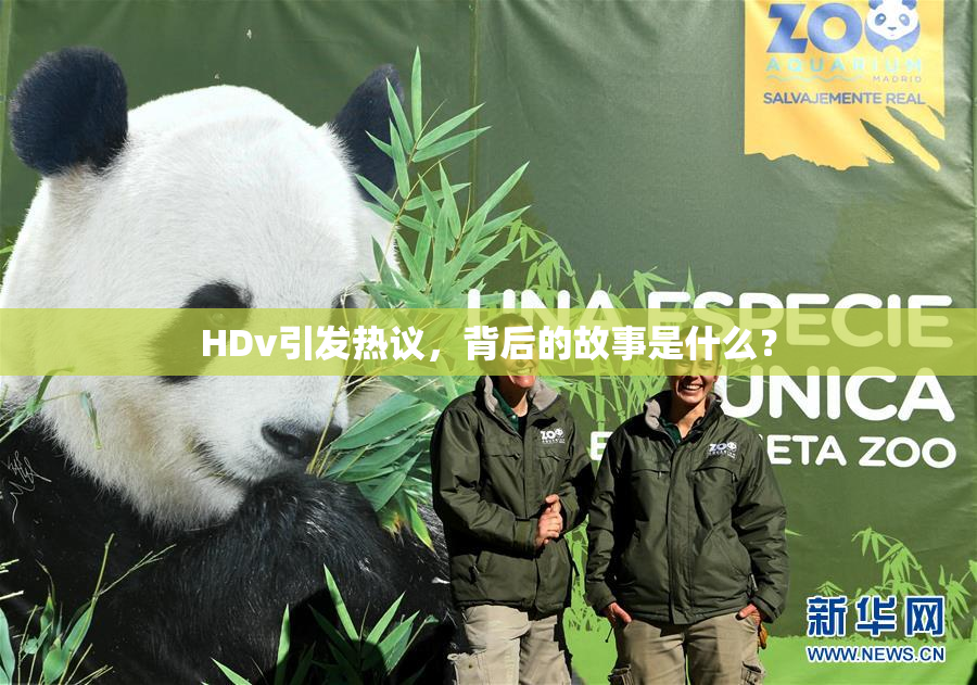 HDv引发热议，背后的故事是什么？