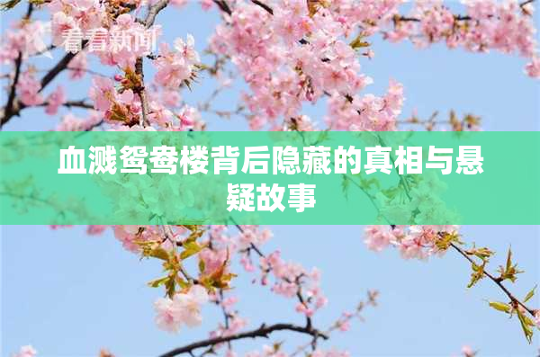 血溅鸳鸯楼背后隐藏的真相与悬疑故事