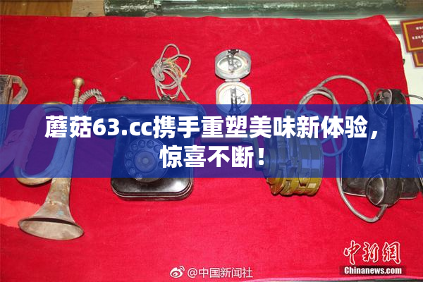 蘑菇63.㏄携手重塑美味新体验，惊喜不断！