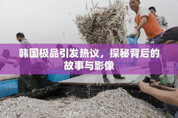 韩国极品引发热议，探秘背后的故事与影像