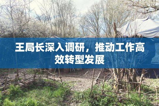 王局长深入调研，推动工作高效转型发展