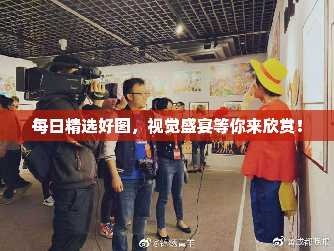 每日精选好图，视觉盛宴等你来欣赏！
