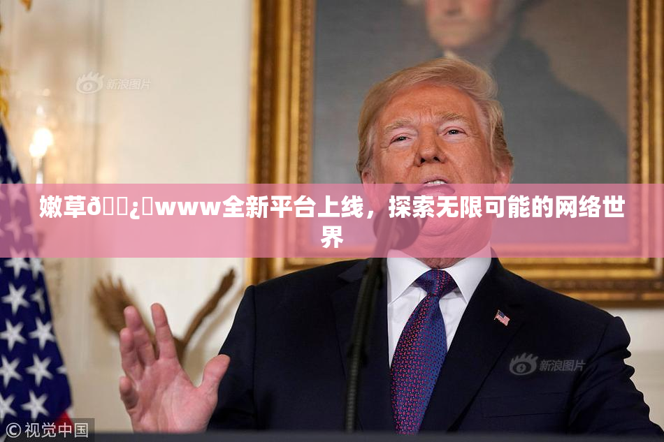 嫩草🌿‌www全新平台上线，探索无限可能的网络世界