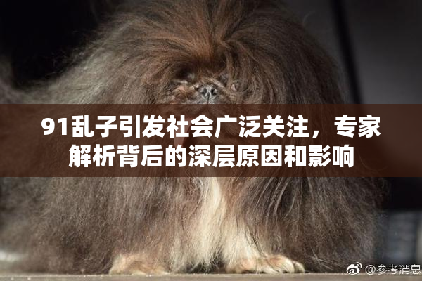 91乱子引发社会广泛关注，专家解析背后的深层原因和影响