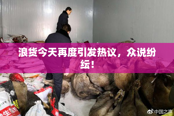浪货今天再度引发热议，众说纷纭！