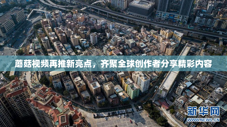 蘑菇视频再推新亮点，齐聚全球创作者分享精彩内容