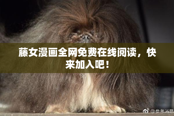 藤女漫画全网免费在线阅读，快来加入吧！