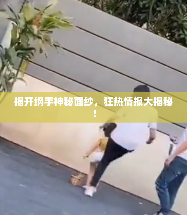揭开纲手神秘面纱，狂热情报大揭秘！