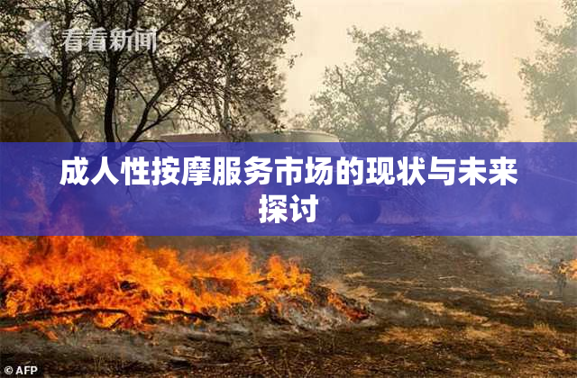 成人性按摩服务市场的现状与未来探讨
