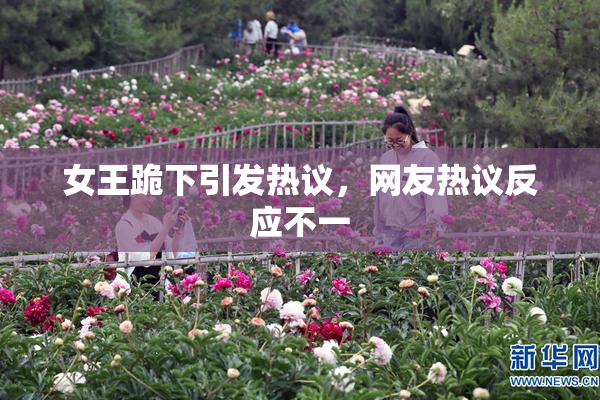 女王跪下引发热议，网友热议反应不一