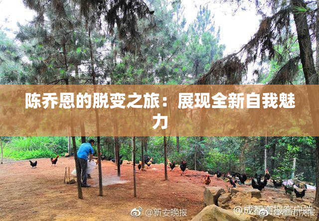 陈乔恩的脱变之旅：展现全新自我魅力