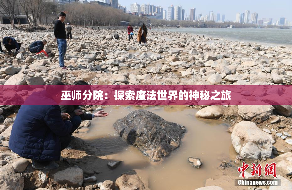 巫师分院：探索魔法世界的神秘之旅