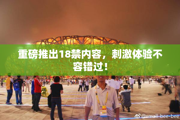 重磅推出18禁内容，刺激体验不容错过！