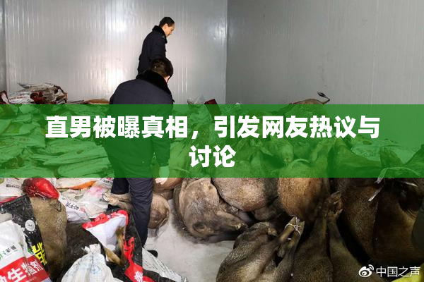 直男被曝真相，引发网友热议与讨论