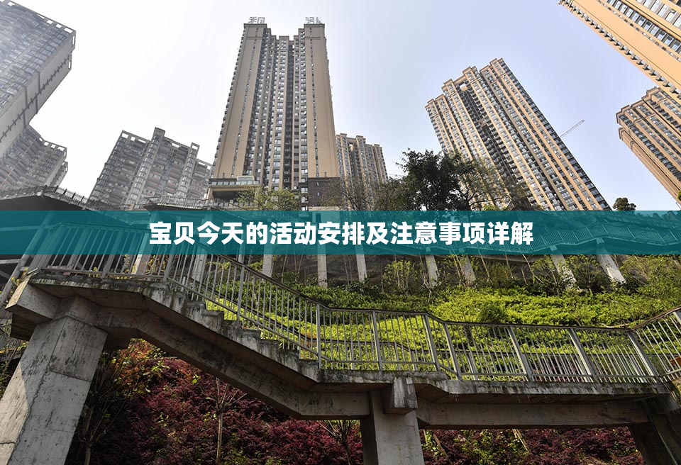宝贝今天的活动安排及注意事项详解