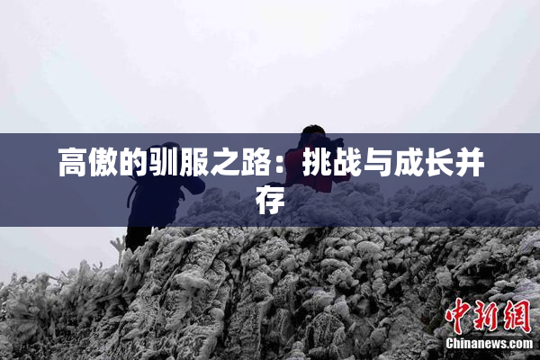 高傲的驯服之路：挑战与成长并存