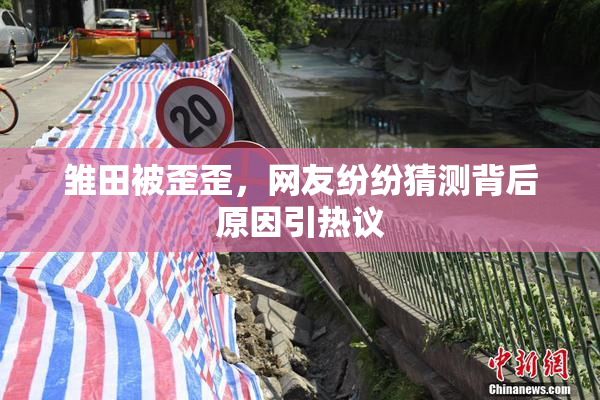 雏田被歪歪，网友纷纷猜测背后原因引热议