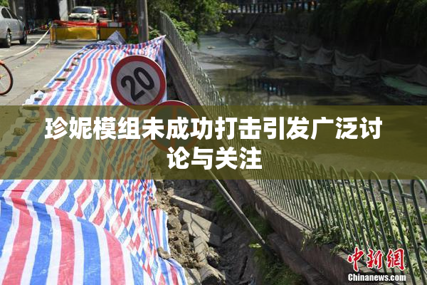 珍妮模组未成功打击引发广泛讨论与关注