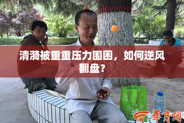 清漪被重重压力围困，如何逆风翻盘？