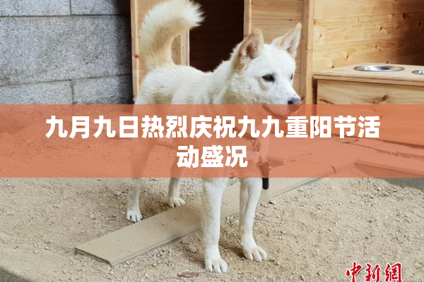九月九日热烈庆祝九九重阳节活动盛况