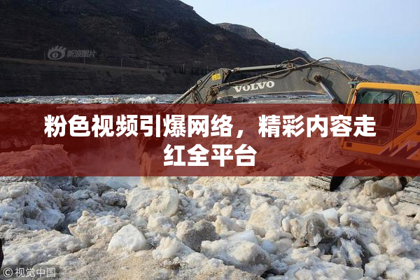 粉色视频引爆网络，精彩内容走红全平台