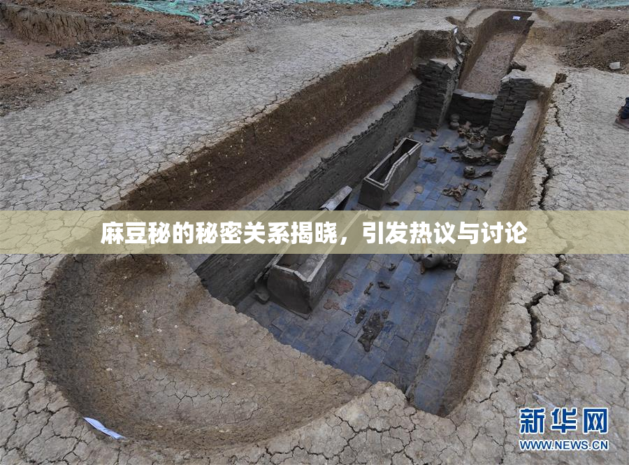 麻豆秘的秘密关系揭晓，引发热议与讨论