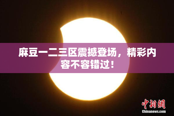 麻豆一二三区震撼登场，精彩内容不容错过！