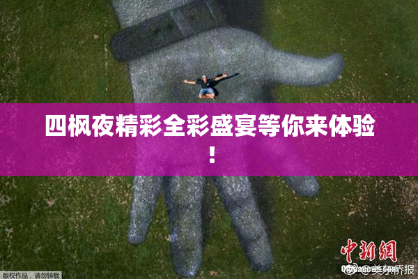 四枫夜精彩全彩盛宴等你来体验！