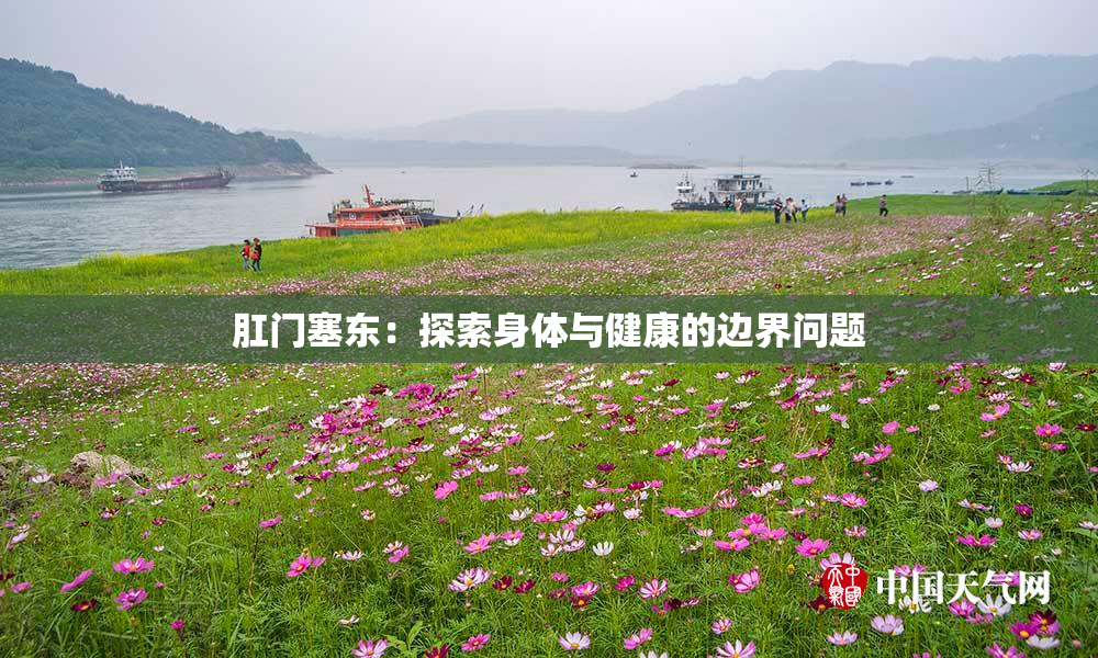 肛门塞东：探索身体与健康的边界问题