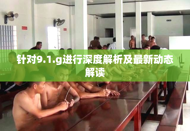 针对9.1.g进行深度解析及最新动态解读