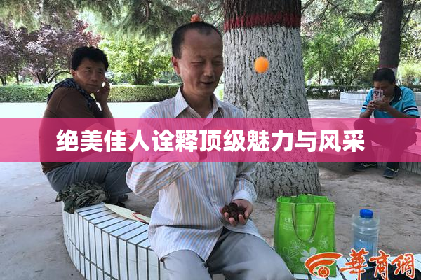 绝美佳人诠释顶级魅力与风采