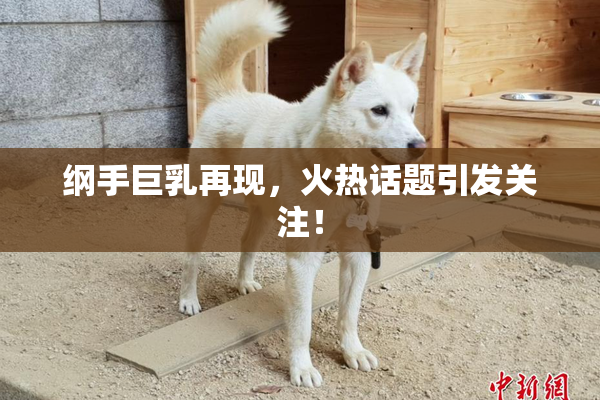 纲手巨乳再现，火热话题引发关注！