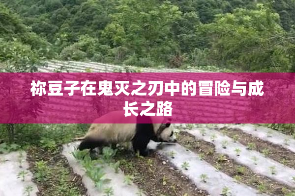 祢豆子在鬼灭之刃中的冒险与成长之路