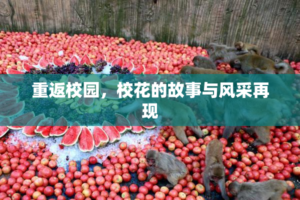 重返校园，校花的故事与风采再现