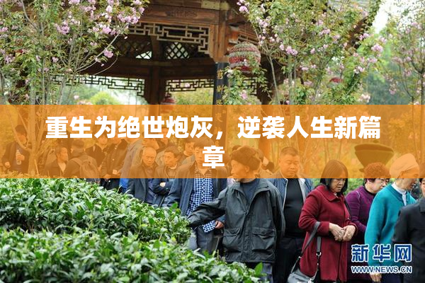 重生为绝世炮灰，逆袭人生新篇章