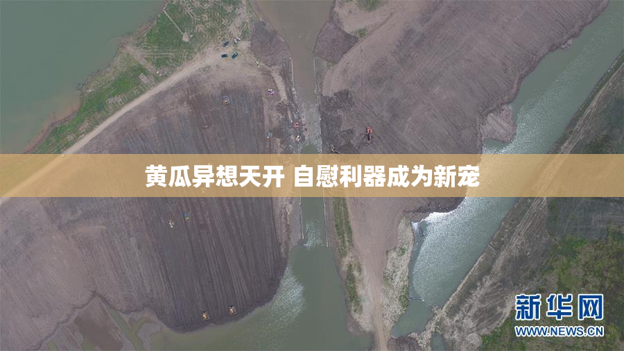 黄瓜异想天开 自慰利器成为新宠