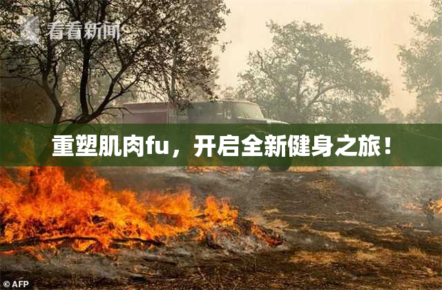 重塑肌肉fu，开启全新健身之旅！