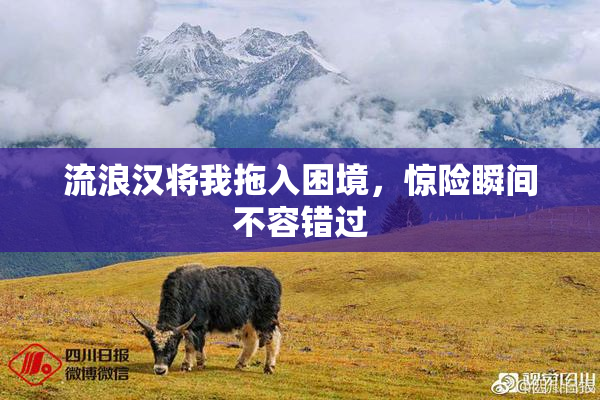 流浪汉将我拖入困境，惊险瞬间不容错过