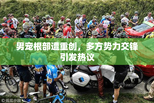 男宠根部遭重创，多方势力交锋引发热议