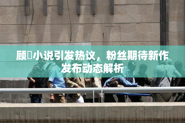 顾嫚小说引发热议，粉丝期待新作发布动态解析