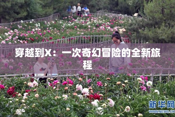 穿越到X：一次奇幻冒险的全新旅程