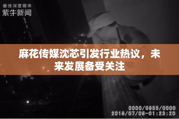 麻花传媒沈芯引发行业热议，未来发展备受关注